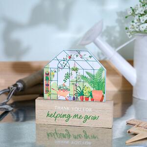 The Cottage Garden 'Thank You' Greenhouse Ornament Green