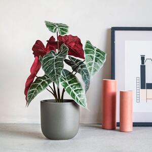 Artificial Alocasia Polly