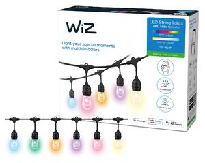 WiZ 48ft Smart Ambient Outdoor String Lights Black