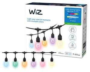 WiZ 48ft Smart Ambient Outdoor Festoon Lights