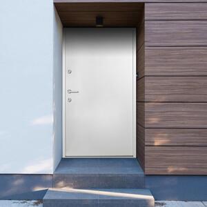 Aluminium Front Door White 100x200 cm