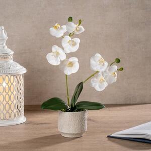 Artificial Real Touch Mini Phalaenopsis Orchid in Cement Plant Pot