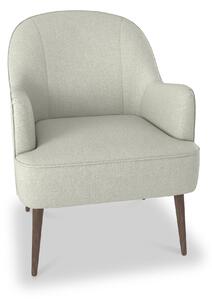 Todd Comfy Fabric Accent Armchair for Living Room or Bedroom Roseland