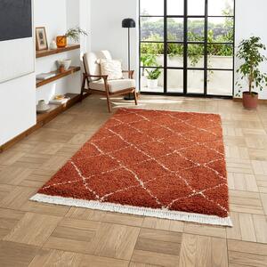 Boho 5413 Shaggy Rug Rust