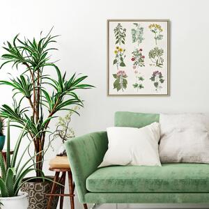 Cedar & Sage Botanical Mix Floral Framed Canvas Brown/Green