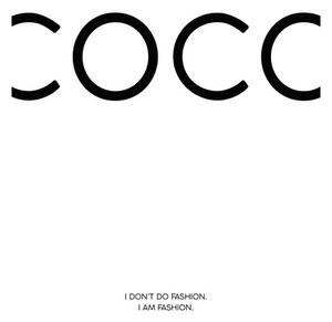 Art Print Finlay & Noa - Coco 1, (40 x 60 cm)