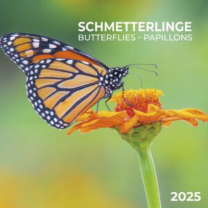 Calendar 2025 Butterflies