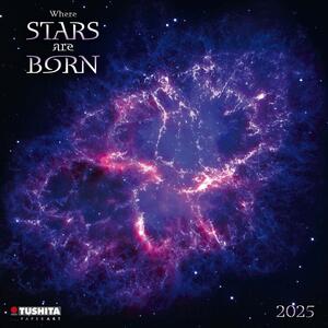 Calendar 2025 Where Stars are born