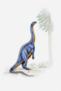 Art Print Illustration of a Plateosaurus reaching for, Dorling Kindersley