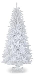Dunhill White Fir Christmas Tree | 6ft 7ft | Roseland