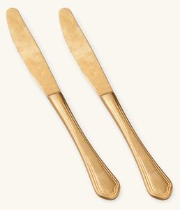 Knife Gold - Stainless steel/PVD. 24 cm. 2 pcs. 2 pcs. - Gold - NEVA Posateria Creativa