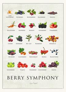 Poster Berry Symphony 50 x 70 - Simon Holst. - Multi - Poster and Frame