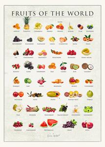 Poster Fruits of the World 50 x 70 - Simon Holst. - Multi - Poster and Frame