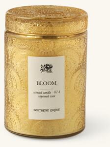 Scented candle Bloom - Rapeseed wax/cotton/glass. Ø8.3 x 11 cm. 67 hours. - Yellow - Søstrene Grene