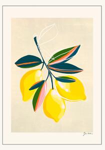 Poster Lemons A4 - PSTR studio. - Lemon - Poster and Frame