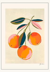 Poster Oranges A4 - PSTR studio. - Peach - Poster and Frame