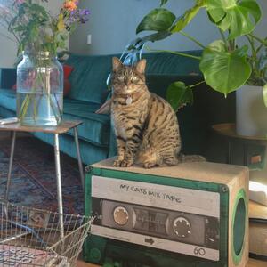DISTRICT70 Cat Scratcher/Cave MIXTAPE Emerald