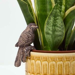 Homescapes Bird Pot Hanger Decoration, 5 x 4.5 x 10 cm, Weather-Resistant Polyresin, Durable