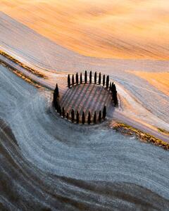 Photography Country road and cypresses grove, Tuscany, Italy, Marco Bottigelli