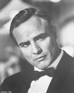 Photography Serious Brando, Hulton Archive