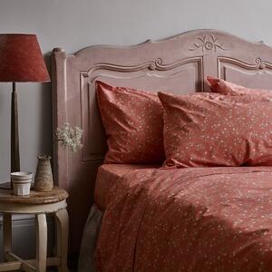 Piglet Apricot Floral Cotton Pillowcases (Pair) Size Standard