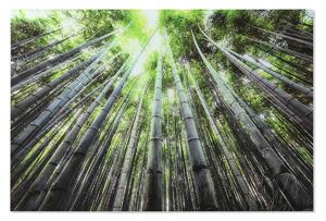 Painting Home ESPRIT Green Printed 150 x 0,4 x 100 cm