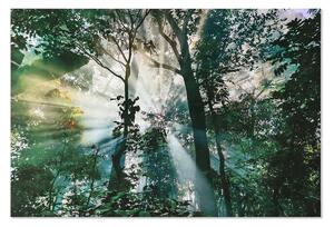 Painting Home ESPRIT Green Printed 150 x 0,4 x 100 cm