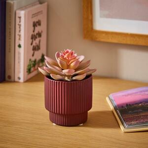 Artificial Pink Succulent Plant in Burgundy Ceramic Ribbed Pot