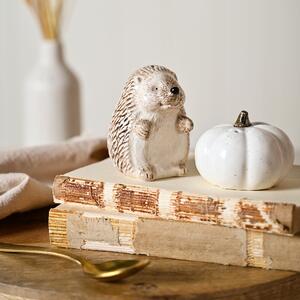 Country Living Ceramic Hedgehog & Pumpkin Salt & Pepper Set White