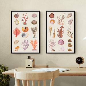 Set of 2 Coral and Shell Collage Framed Prints MultiColoured