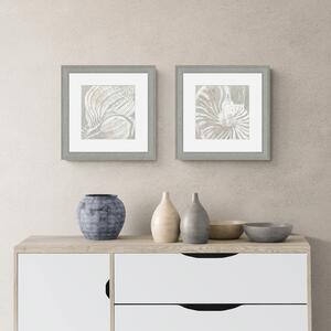 Set of 2 Sea Shells Framed Prints Grey