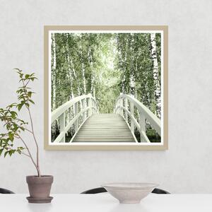 Bridge To The Birch Forest Framed Print Green