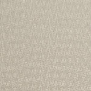ILiv Cosmos Fabric Ivory