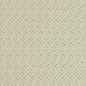 ILiv Aztec Fabric Pampas