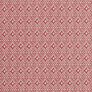 ILiv Aztec Fabric Salsa