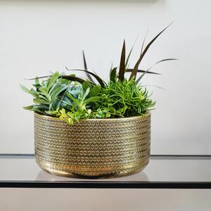 Solis Embossed Bowl Plant Pot Gold