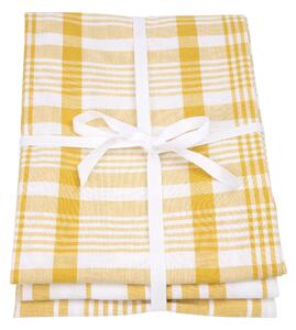 Dexam Love Colour Set of 3 Extra Large Tea Towels Ochre