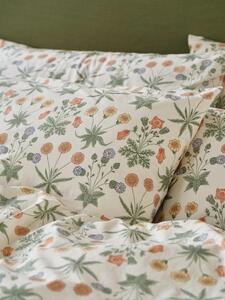Sage & Mindful Cream Daisy Cotton Pillowcases (Pair) | Standard | Piglet in Bed