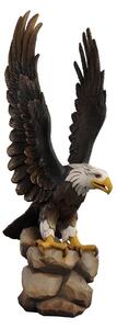 Flying Eagle woodcarving