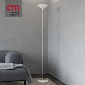 Dry Rotaliana Floor Lamp