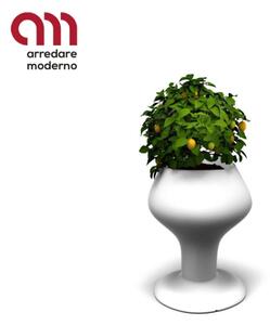 Gaudì Modum Pot