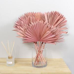 Dried Pink Sun Spear Stems