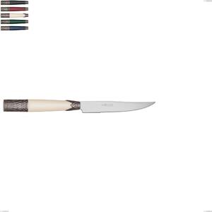 Steak Knife Aria, Coloured 18/10 AISI304 Stainless Steel, 221 mm, Acrylic and Metal Handle