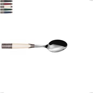 Aria Serving Spoon, 18/10 AISI304 Stainless Steel Coloured, Dimensions 233 mm with Acrylic and Metal Handle
