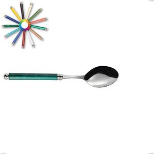 Arcadia Serving Spoon, 18/10 AISI 304 Polished Stainless Steel with Acrylic Handle and Double Ring, Length 239 mm