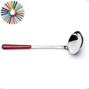 Brio Ladle, Stainless Steel 18.c (AISI 430), ABS Handles, Length 29 cm