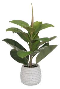 Decorative Plant Green PVC Oak 58 cm