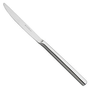 Chiara Hollow Handle Table Knife, 18/10 Stainless Steel (AISI304), 4.00 mm Thickness, 230 mm Length, Polished Stainless