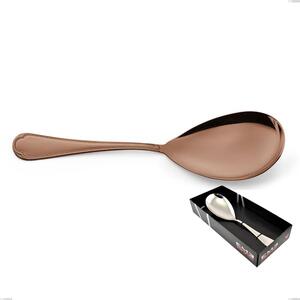 Domus Chocolate Serving Spoon in Showcase Packaging, 18/10 Stainless Steel, 3 mm Thickness