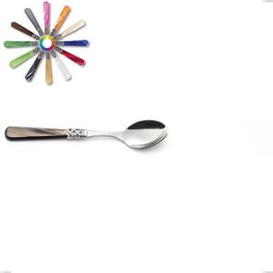 Ginevra Dessert Spoon, (Stainless Steel 18.10 AISI304), Nylon Handle, Length 156 mm